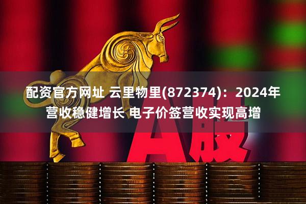 配资官方网址 云里物里(872374)：2024年营收稳健增长 电子价签营收实现高增