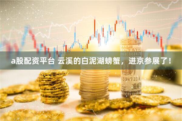 a股配资平台 云溪的白泥湖螃蟹,进京参展了!